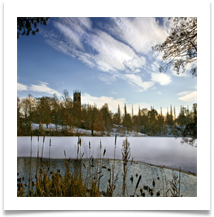 DUCK REFUGE - Des Hawley